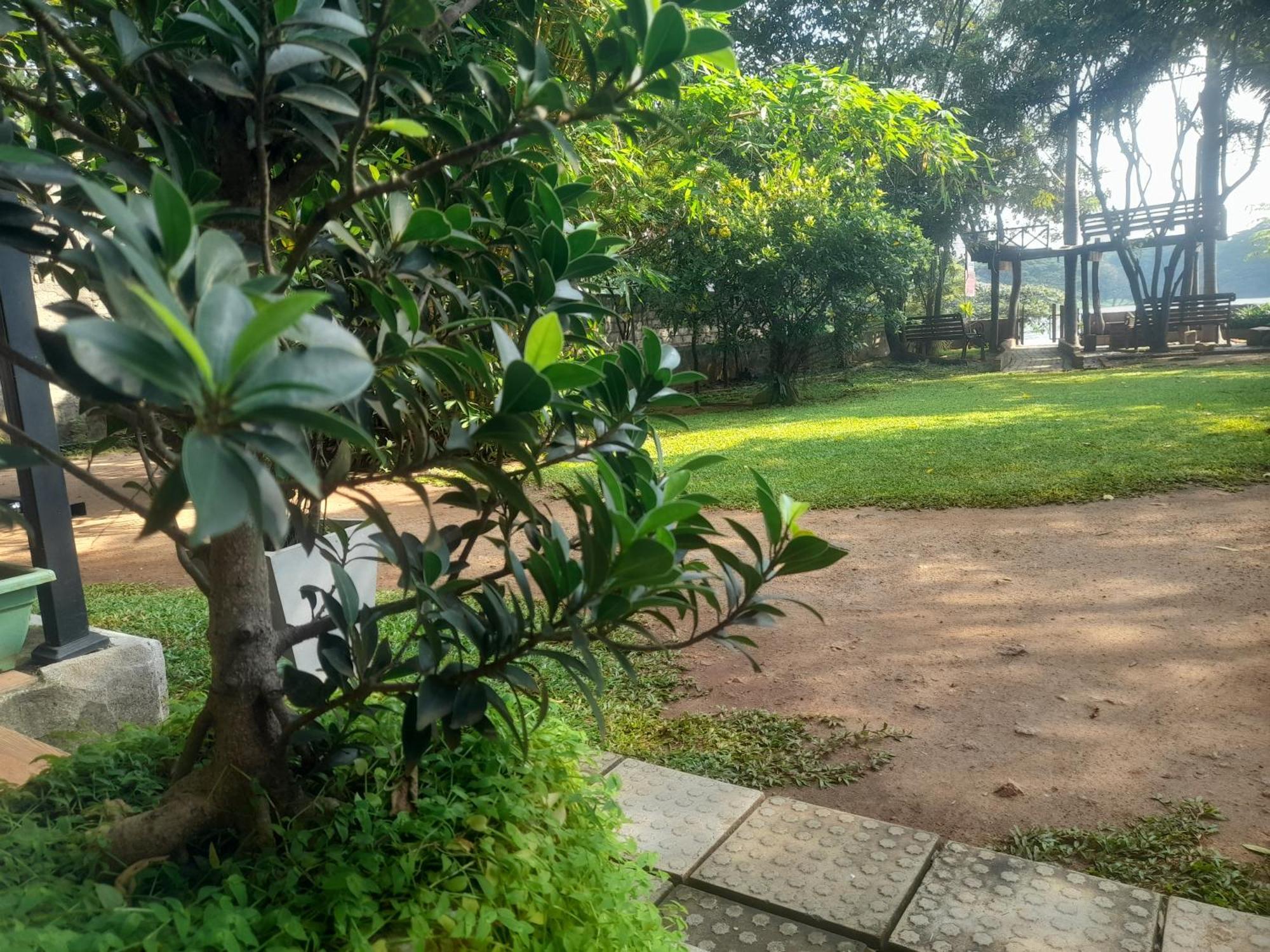 Shashin Lake Resort Dambulla Ngoại thất bức ảnh
