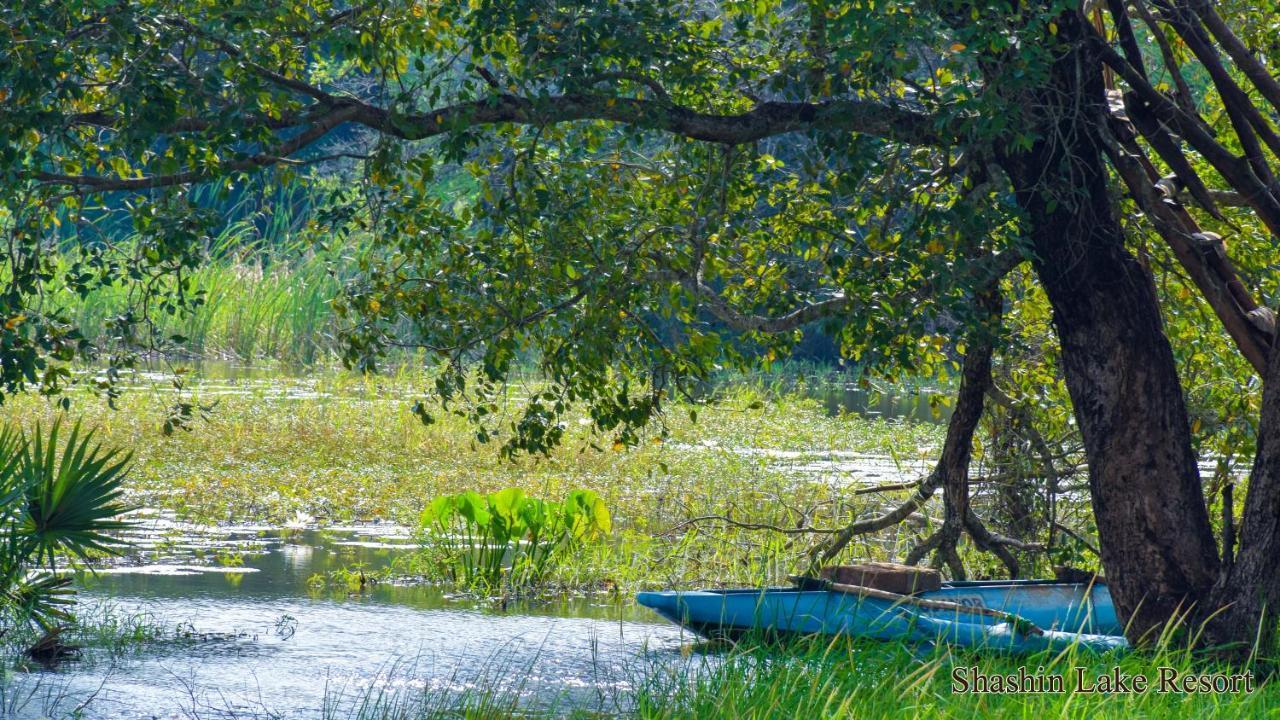 Shashin Lake Resort Dambulla Ngoại thất bức ảnh
